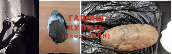 гашик Алексин