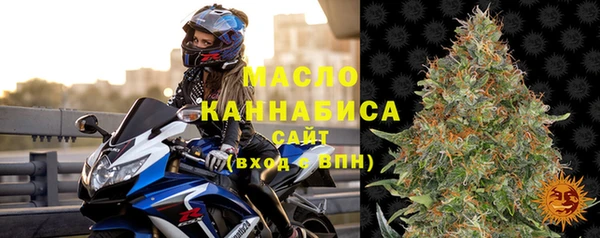 индика Нея