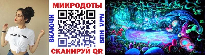 где купить наркоту  Ковдор  Псилоцибиновые грибы прущие грибы 